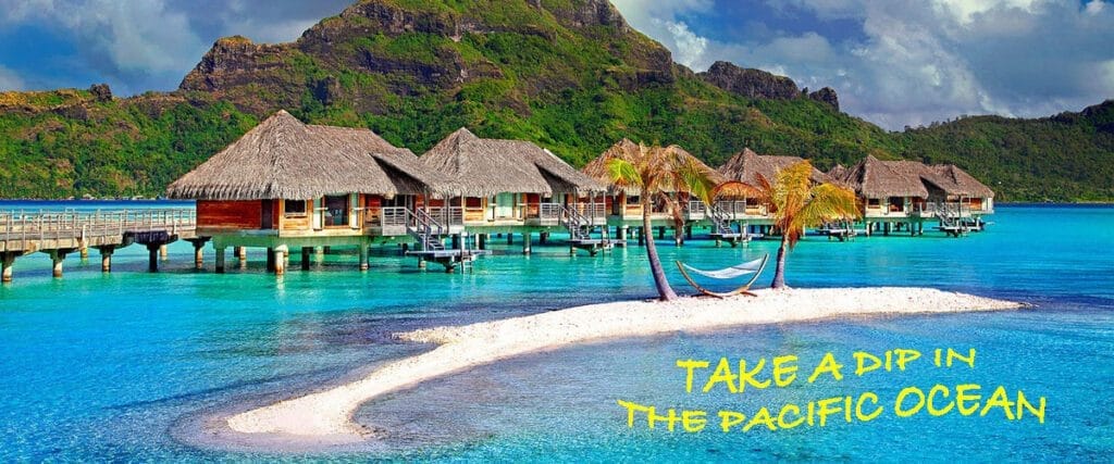 book a charter