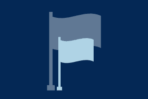 flag_registration